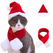 Load image into Gallery viewer, Santa Cat Hat with Muffler - Cat showing Hat & Scarf - JBCoolCats