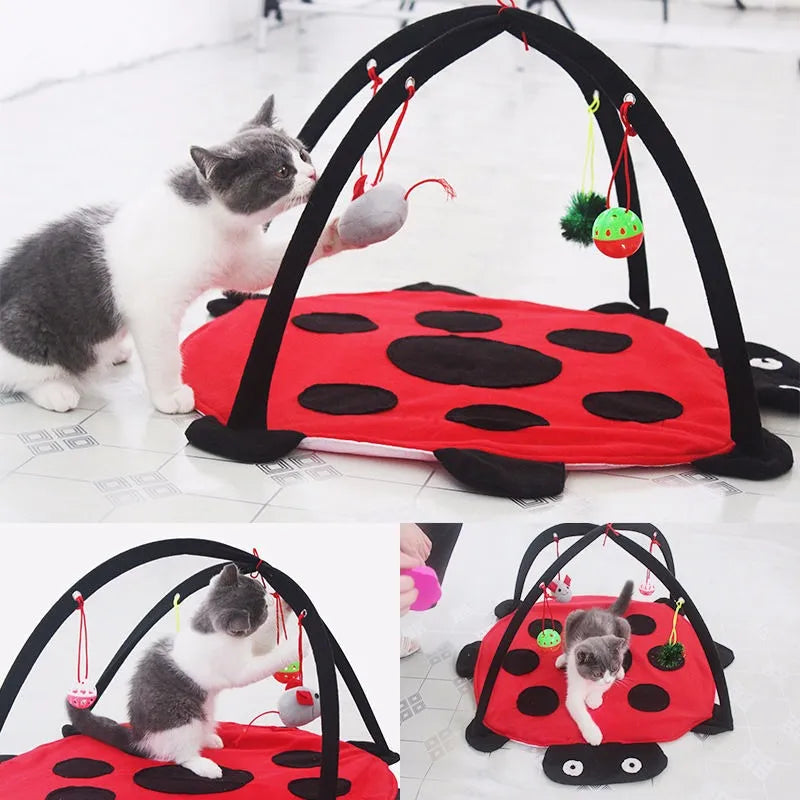 Cat play outlet bed