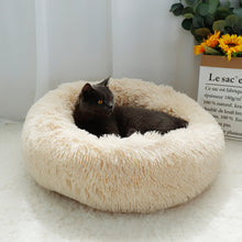 Load image into Gallery viewer, Cat lying on a fluffy beige pet bed Luxury Fluffy Cat Bed - Cat Accessories -  JBCoolCats