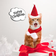 Load image into Gallery viewer, Santa Cat Hat with Muffler - Merry Christmas - JBCoolCats