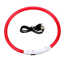 Load image into Gallery viewer, Thin LED Glow In The Dark Cat Collar - Red - JBCoolCats
