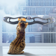 Load image into Gallery viewer, Cat Play Pipe and Balls - Cat Toys - JBCoolCats