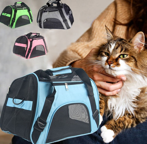 Cat being held by a person with pet carrier options displayed in the background - Breathable Cat Travel Carrier Bag - accessory  - JBCoolCats