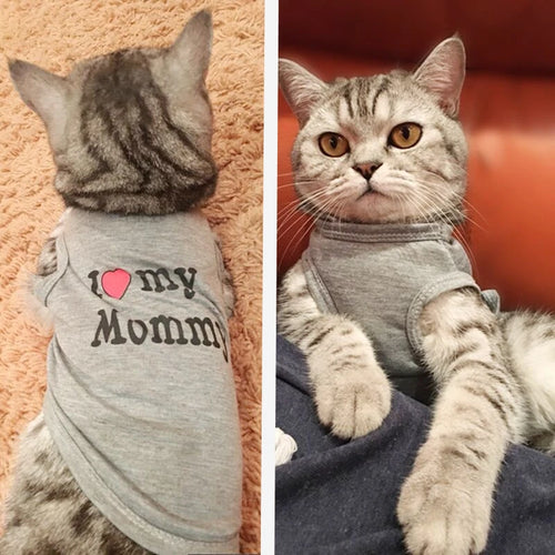 Show Their Love Cat Vest - Accessory – JBCoolCats