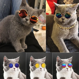 Funny Cat Sunglasses - Accessories - JBCoolCats