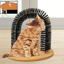 Load image into Gallery viewer, Self Groomer Cat Massage Brush - Catnip - JBCoolCats