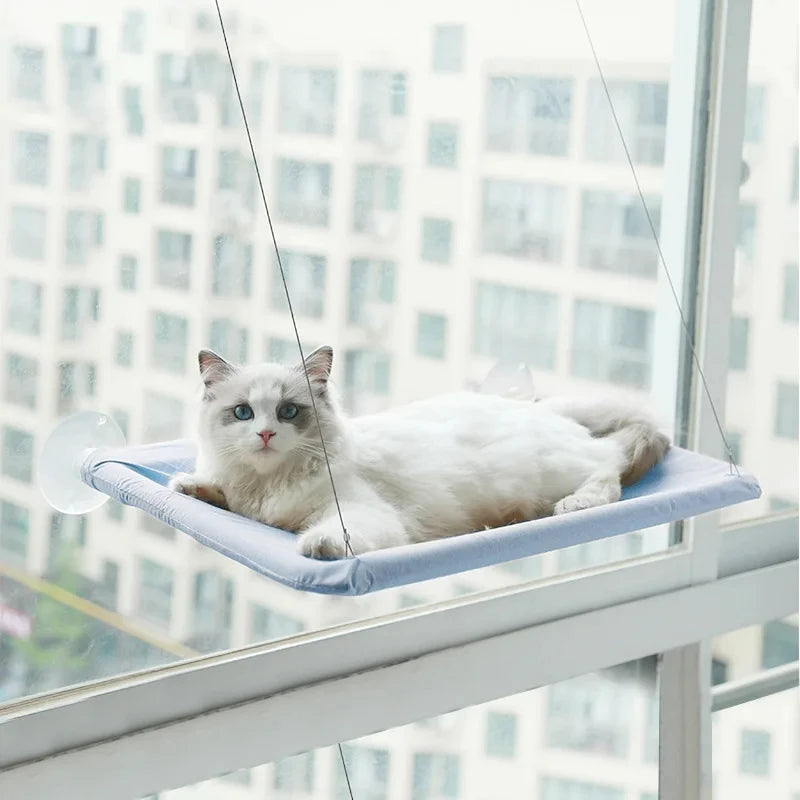 Cute Cat Hanging Window Bed - Blue - JBCoolCats