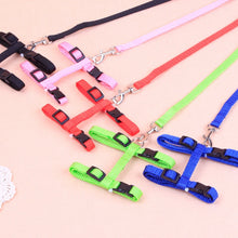Load image into Gallery viewer, Colorful dog harnesses and leashes Nylon Cat Harness and Leash - Features - JBCoolCats 