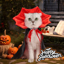 Load image into Gallery viewer, Spooky Cat Halloween Cape - Alt View- JBCoolCats