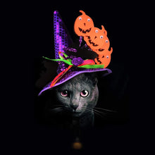 Load image into Gallery viewer, Cat wearing a colorful Halloween hat with pumpkins on a black background  - Funny Cat Halloween Hats -  JBCoolCats