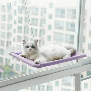 Cute Cat Hanging Window Bed - Purple - JBCoolCats