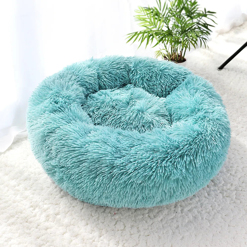 Luxury Fluffy Cat Bed - Teal - JBCoolCats