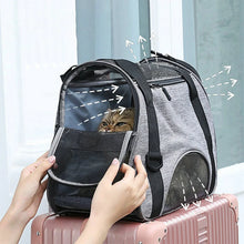 Load image into Gallery viewer, Person holding a gray pet carrier with a cat peeking out, Features - JBCoolCats