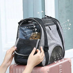 Person holding a gray pet carrier with a cat peeking out, Features - JBCoolCats