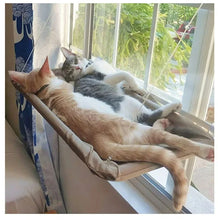 Load image into Gallery viewer, Cute Cat Hanging Window Bed - Two Cats - JBCoolCats