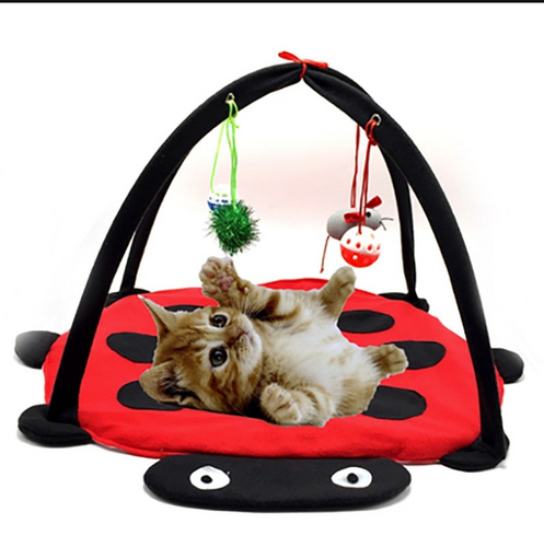 Mobile Activity Cat Play Bed - Cat Toy - JBCoolCats