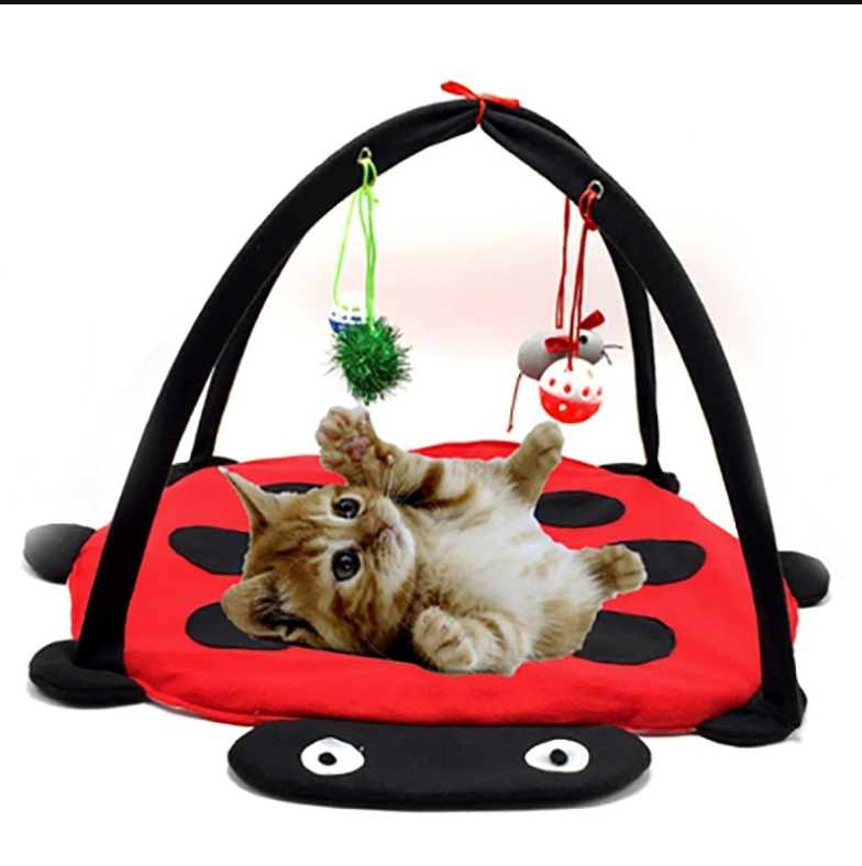 Cat play deals bed