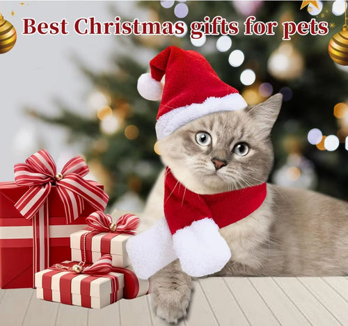 Cat wearing a Santa hat and scarf with Christmas presents and tree in the background  - Santa Cat Hat with Muffler - Christmas - JBCoolCats