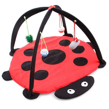 Load image into Gallery viewer, Mobile Activity Cat Play Bed - LadyBug - JBCoolCats