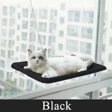 Load image into Gallery viewer, Cute Cat Hanging Window Bed - Black - JBCoolCats