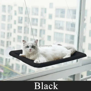 Cute Cat Hanging Window Bed - Black - JBCoolCats