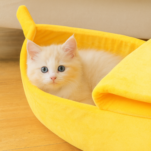 White kitten with blue eyes in a yellow banana-shaped pet bed - Cozy Cute Banana Cat Bed - Accessories - JBCoolCats
