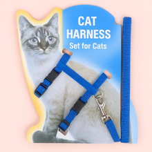 Load image into Gallery viewer, Cat harness set with blue straps Nylon Cat Harness and Leash – Blue - JBCoolCats