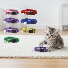 Load image into Gallery viewer, Cat playing with a purple glittery cat collar surrounded by other colorful collars on a light background. Sequin Cat Collar with Bell  - Accessory - JBCoolCats