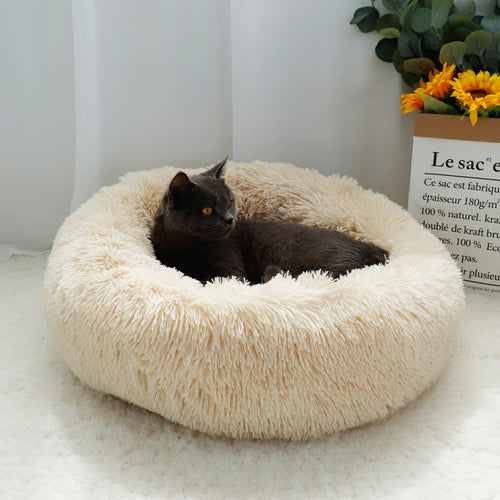 Cat lying on a fluffy beige pet bed Luxury Fluffy Cat Bed - Cat Accessories -  JBCoolCats