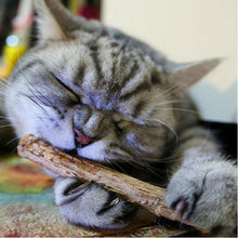 Load image into Gallery viewer, Natural Catnip Teeth Cleaning Sticks - Accessories - JBCoolCats