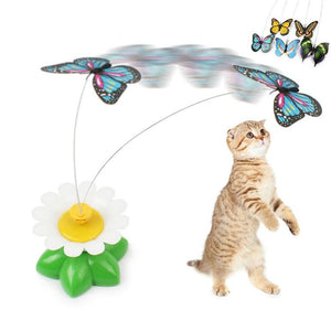 Electric Rotating Butterfly Cat Exerciser - Cat Toy -JBCoolCats