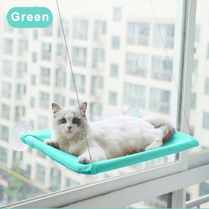 Cute Cat Hanging Window Bed - Green - JBCoolCats