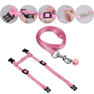 Nylon Cat Harness and Leash - Features - JBCoolCats