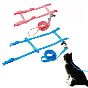 Nylon Cat Harness and Leash - Accessories - JBCoolCats