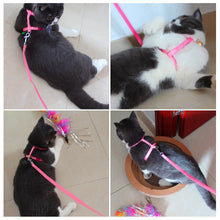 Load image into Gallery viewer, Nylon Cat Harness and Leash - Photos - JBCoolCats