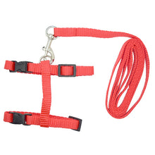 Load image into Gallery viewer, Nylon Cat Harness and Leash - Red - JBCoolCats