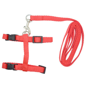 Nylon Cat Harness and Leash - Red - JBCoolCats
