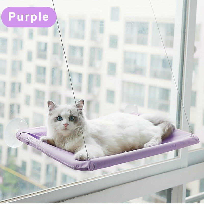 Cute Cat Hanging Window Bed - Purple - JBCoolCats