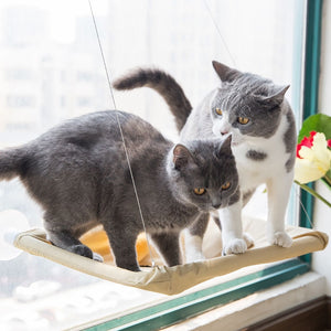 Cute Cat Hanging Window Bed - Two Cats - JBCoolCats
