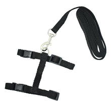 Load image into Gallery viewer, Nylon Cat Harness and Leash - Black - JBCoolCats