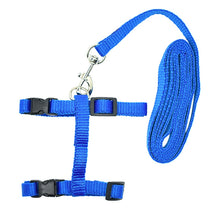 Load image into Gallery viewer, Nylon Cat Harness and Leash - Blue - JBCoolCats