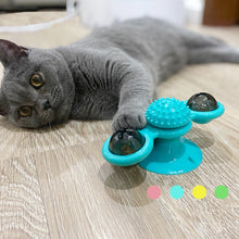 Load image into Gallery viewer, Interactive Cat Toy Groomer - Cat Toy - JBCoolCats