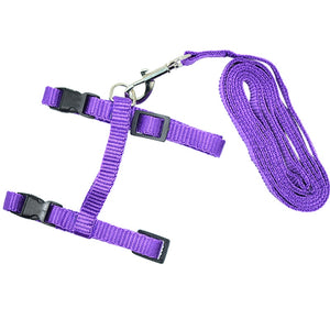 Nylon Cat Harness and Leash - Purple - JBCoolCats