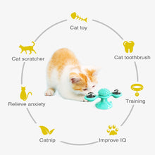Load image into Gallery viewer, Interactive Cat Toy Groomer - Features - JBCoolCats