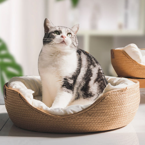 Woven Bamboo Cozy Cat Bed - Accessory - JBCoolCats