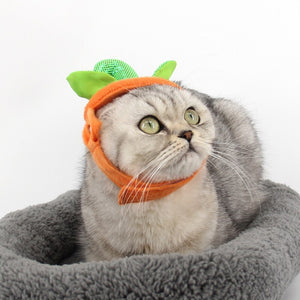Halloween Pumpkin Hat & Cape for Cats - View 3 - JBCoolCats
