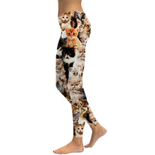 Load image into Gallery viewer, Cat Print Workout Leggings - Side View- JBCoolCats