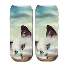 Load image into Gallery viewer, 3D Funny Cute Cartoon Kitten Socks - Blue Eyes - JBCoolCats