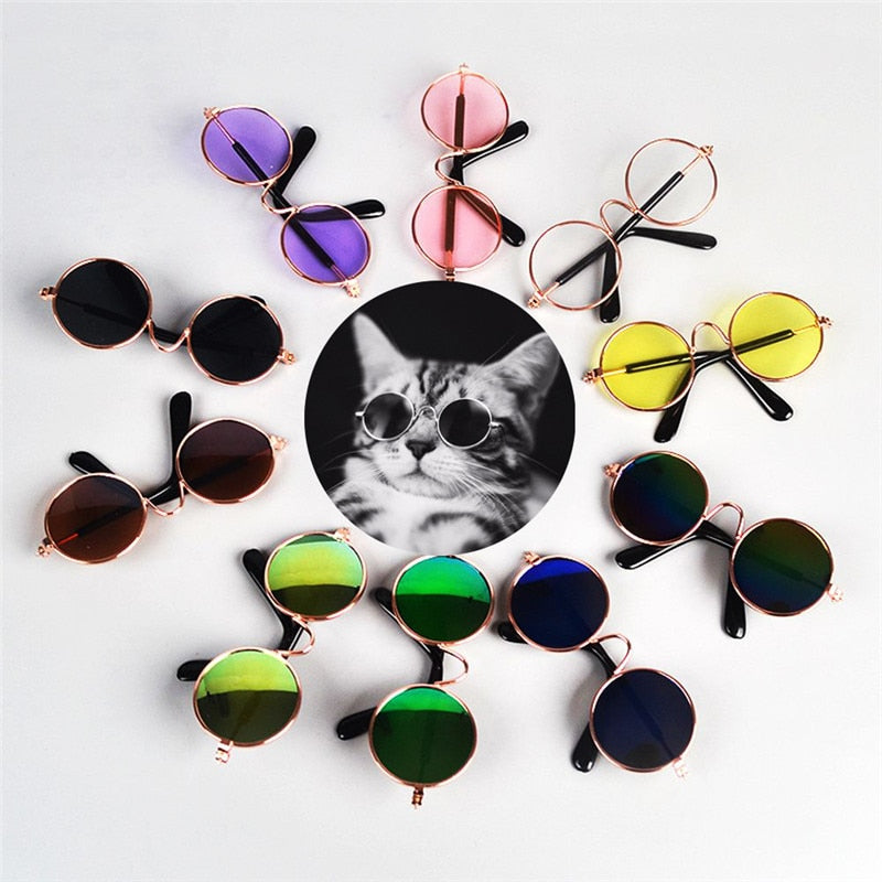 Funny Cat Sunglasses - Accessories - JBCoolCats