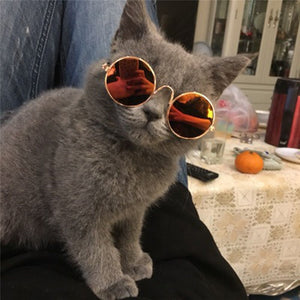 Funny Cat Sunglasses - Alt View - JBCoolCats